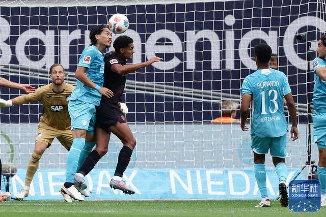 足球丨德甲:勒沃库森不敌霍芬海姆